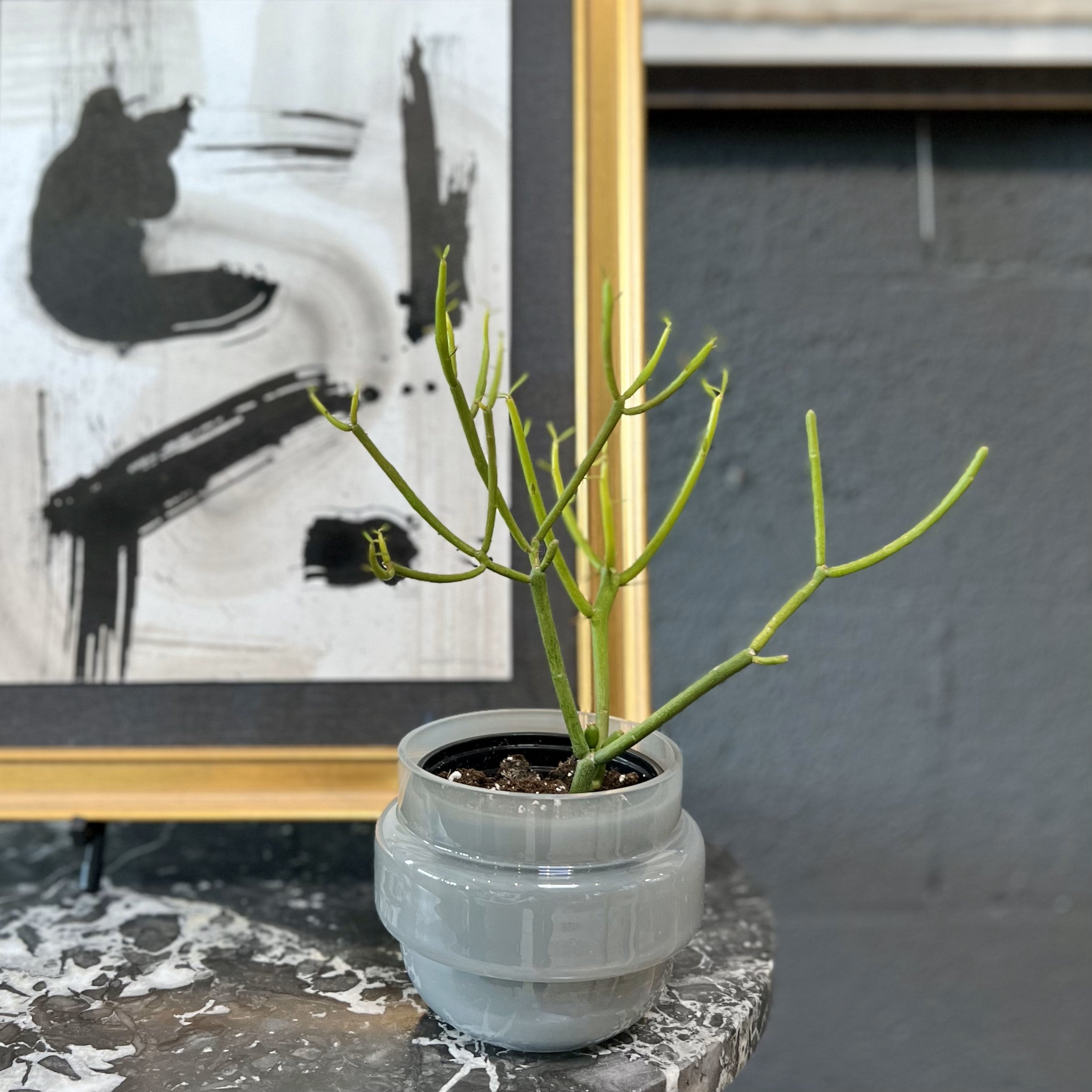 HOLLEY GLASS VASE