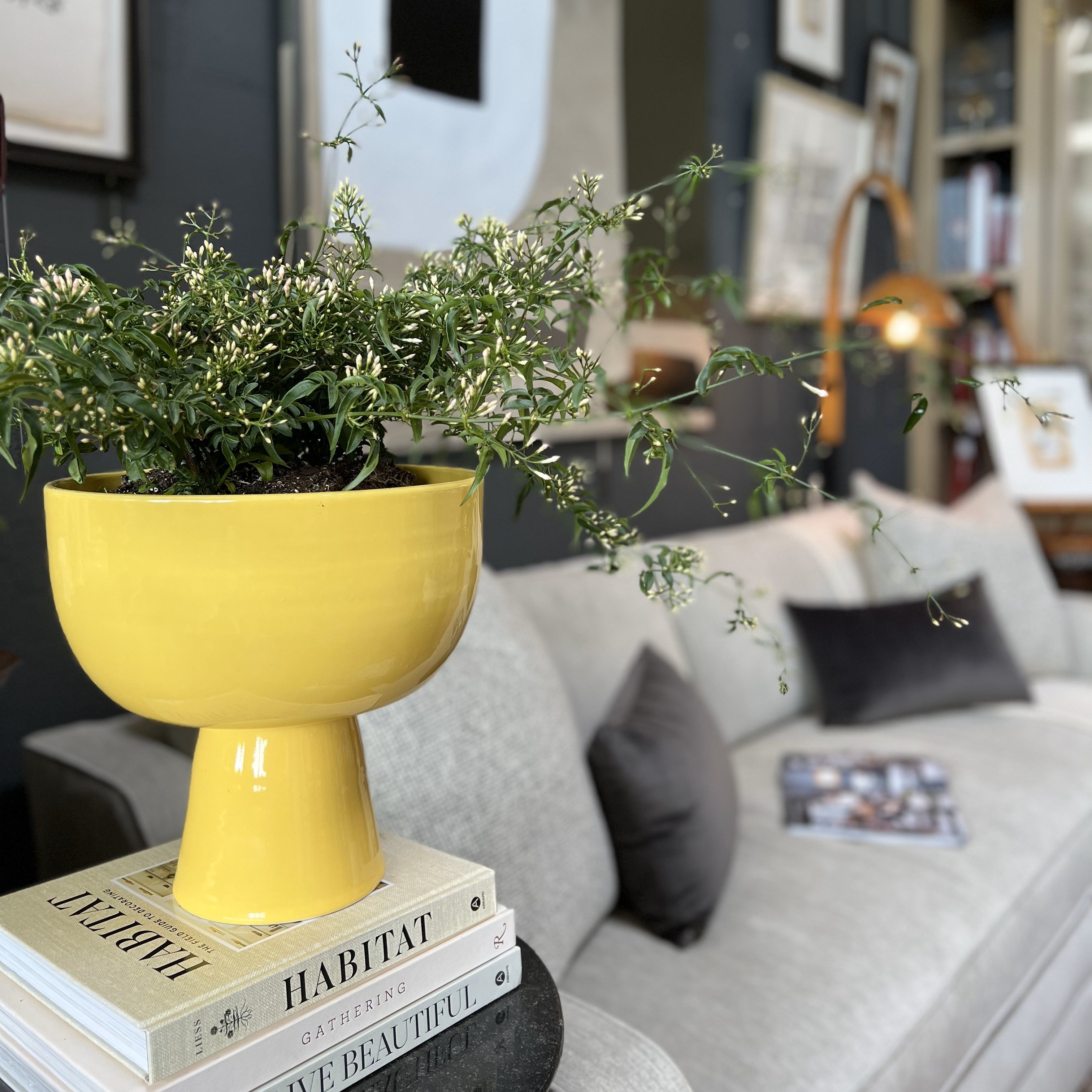 CERAMIC FOOTED BOWL